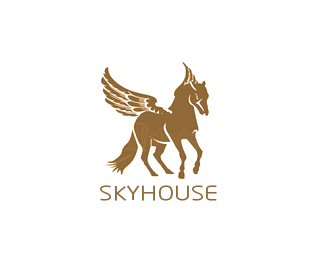 懂球帝网页版,,